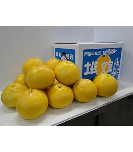 高知県産土佐文旦4Lサイズ 約10kg Amazon.co.jp: 高知産土佐文旦4Lサイズ約10kg : 食品・飲料・お酒